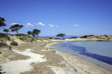 Karydi Sahili yakınlarındaki Sithonia kıyı şeridi, Chalkidiki, Orta Makedonya, Yunanistan