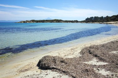 Karydi Sahili yakınlarındaki Sithonia kıyı şeridi, Chalkidiki, Orta Makedonya, Yunanistan