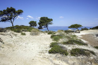 Karydi Sahili yakınlarındaki Sithonia kıyı şeridi, Chalkidiki, Orta Makedonya, Yunanistan