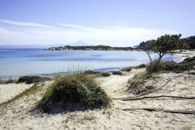 Karydi Sahili yakınlarındaki Sithonia kıyı şeridi, Chalkidiki, Orta Makedonya, Yunanistan