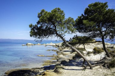 Karydi Sahili yakınlarındaki Sithonia kıyı şeridi, Chalkidiki, Orta Makedonya, Yunanistan