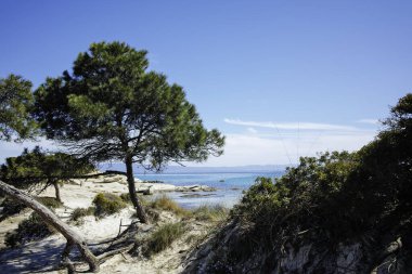 Karydi Sahili yakınlarındaki Sithonia kıyı şeridi, Chalkidiki, Orta Makedonya, Yunanistan