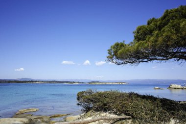 Karydi Sahili yakınlarındaki Sithonia kıyı şeridi, Chalkidiki, Orta Makedonya, Yunanistan