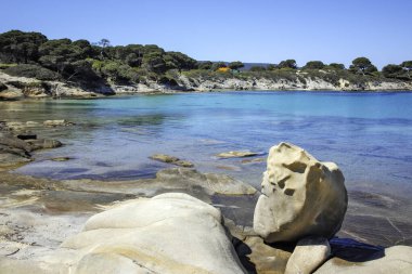 Karydi Sahili yakınlarındaki Sithonia kıyı şeridi, Chalkidiki, Orta Makedonya, Yunanistan