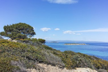 Karydi Sahili yakınlarındaki Sithonia kıyı şeridi, Chalkidiki, Orta Makedonya, Yunanistan