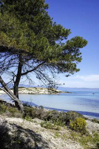 Karydi Sahili yakınlarındaki Sithonia kıyı şeridi, Chalkidiki, Orta Makedonya, Yunanistan