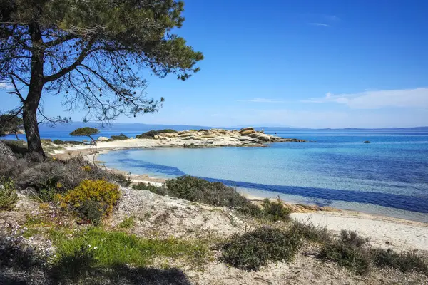 Karydi Sahili yakınlarındaki Sithonia kıyı şeridi, Chalkidiki, Orta Makedonya, Yunanistan