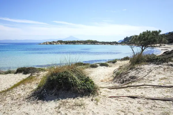 Karydi Sahili yakınlarındaki Sithonia kıyı şeridi, Chalkidiki, Orta Makedonya, Yunanistan