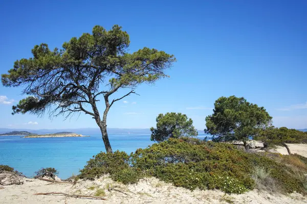 Karydi Sahili yakınlarındaki Sithonia kıyı şeridi, Chalkidiki, Orta Makedonya, Yunanistan