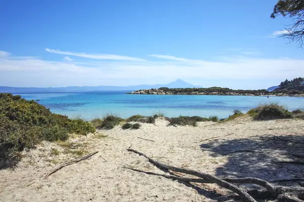 Karydi Sahili yakınlarındaki Sithonia kıyı şeridi, Chalkidiki, Orta Makedonya, Yunanistan