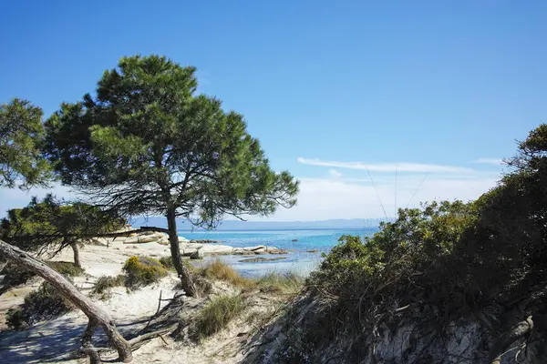 Karydi Sahili yakınlarındaki Sithonia kıyı şeridi, Chalkidiki, Orta Makedonya, Yunanistan