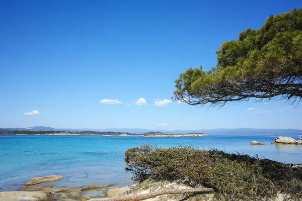 Karydi Sahili yakınlarındaki Sithonia kıyı şeridi, Chalkidiki, Orta Makedonya, Yunanistan