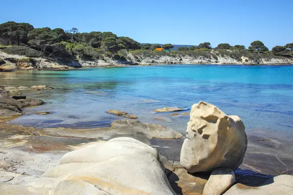 Karydi Sahili yakınlarındaki Sithonia kıyı şeridi, Chalkidiki, Orta Makedonya, Yunanistan