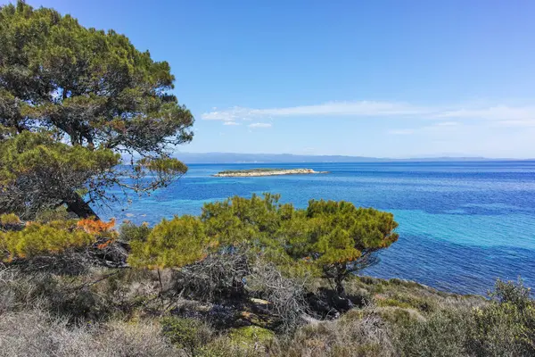 Karydi Sahili yakınlarındaki Sithonia kıyı şeridi, Chalkidiki, Orta Makedonya, Yunanistan