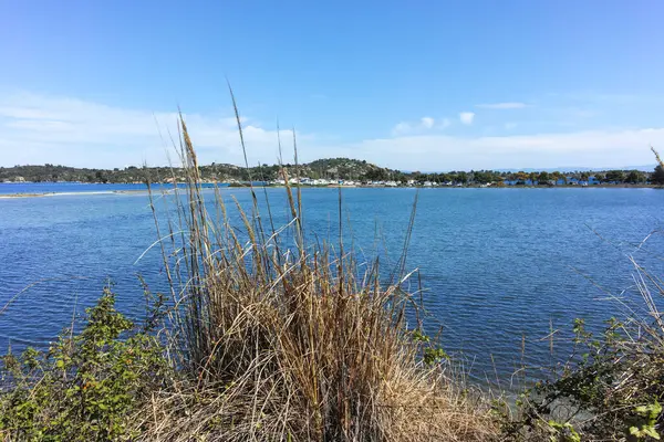 Karydi Sahili yakınlarındaki Sithonia kıyı şeridi, Chalkidiki, Orta Makedonya, Yunanistan