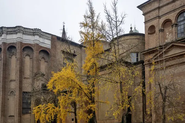Bologna 'nın Panorama' sı, Emilia-Romagna, İtalya