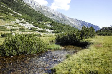 Bulgaristan 'ın Banderitsa Bölgesi yakınlarındaki Pirin Dağı' nın Şaşırtıcı Manzarası