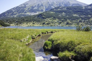 Bulgaristan 'ın Banderitsa Bölgesi yakınlarındaki Pirin Dağı' nın Şaşırtıcı Manzarası