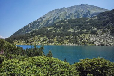 Bulgaristan 'ın Banderitsa Bölgesi yakınlarındaki Pirin Dağı' nın Şaşırtıcı Manzarası