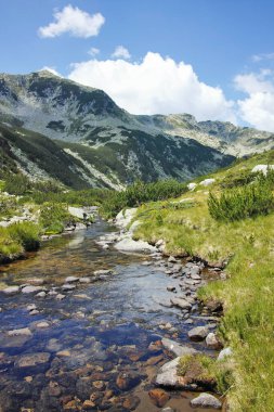 Bulgaristan 'ın Banderitsa Bölgesi yakınlarındaki Pirin Dağı' nın Şaşırtıcı Manzarası