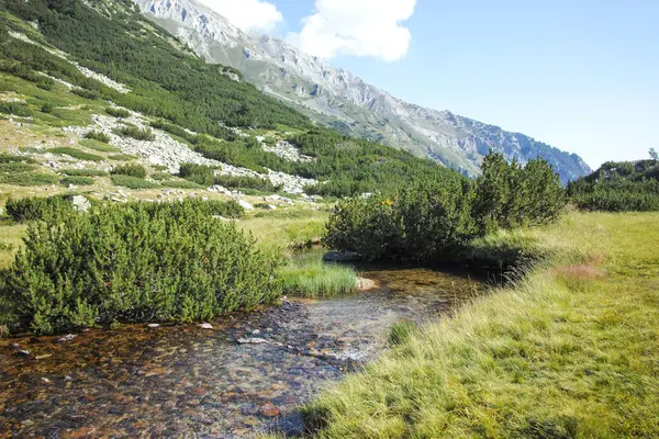 Bulgaristan 'ın Banderitsa Bölgesi yakınlarındaki Pirin Dağı' nın Şaşırtıcı Manzarası