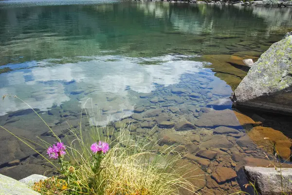 Bulgaristan 'ın Banderitsa Bölgesi yakınlarındaki Pirin Dağı' nın Şaşırtıcı Manzarası