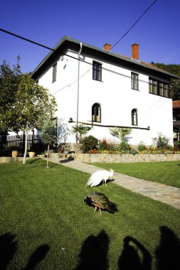 Sırbistan 'ın Ortaçağ Temski manastırının panoramik manzarası Aziz George, Pirot Bölgesi