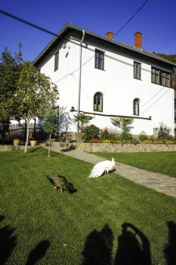 Sırbistan 'ın Ortaçağ Temski manastırının panoramik manzarası Aziz George, Pirot Bölgesi