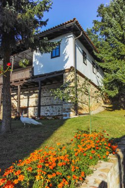 Sırbistan 'ın Ortaçağ Temski manastırının panoramik manzarası Aziz George, Pirot Bölgesi
