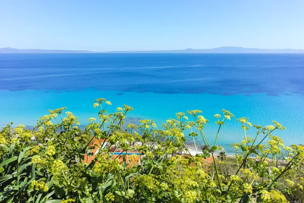 Afytos, Kassandra, Chalkidiki, Orta Makedonya ve Yunanistan 'ın Tarihi Kenti Panorama