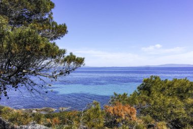 Karydi Sahili yakınlarındaki Sithonia kıyı şeridi, Chalkidiki, Orta Makedonya, Yunanistan