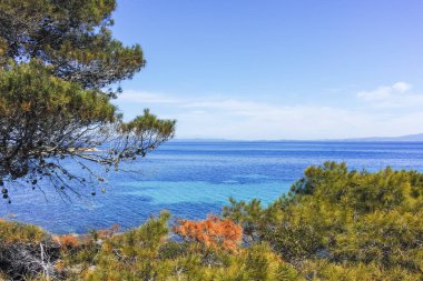 Karydi Sahili yakınlarındaki Sithonia kıyı şeridi, Chalkidiki, Orta Makedonya, Yunanistan