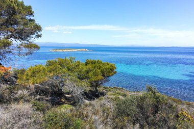 Karydi Sahili yakınlarındaki Sithonia kıyı şeridi, Chalkidiki, Orta Makedonya, Yunanistan