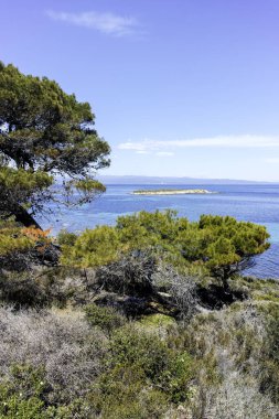 Karydi Sahili yakınlarındaki Sithonia kıyı şeridi, Chalkidiki, Orta Makedonya, Yunanistan
