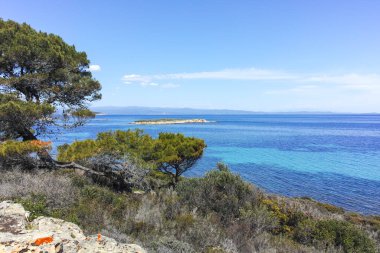 Karydi Sahili yakınlarındaki Sithonia kıyı şeridi, Chalkidiki, Orta Makedonya, Yunanistan