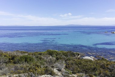 Karydi Sahili yakınlarındaki Sithonia kıyı şeridi, Chalkidiki, Orta Makedonya, Yunanistan