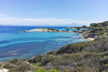 Karydi Sahili yakınlarındaki Sithonia kıyı şeridi, Chalkidiki, Orta Makedonya, Yunanistan