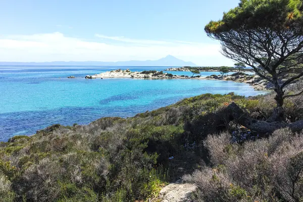 Karydi Sahili yakınlarındaki Sithonia kıyı şeridi, Chalkidiki, Orta Makedonya, Yunanistan