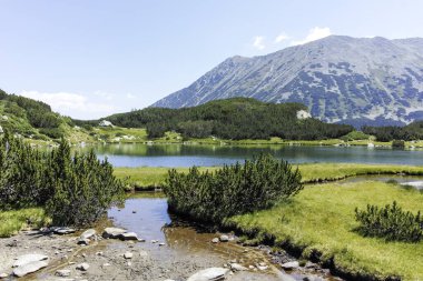 Bulgaristan 'ın Banderitsa Bölgesi yakınlarındaki Pirin Dağı' nın Şaşırtıcı Manzarası