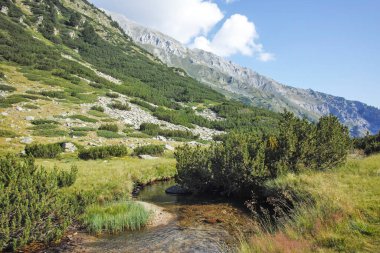 Bulgaristan 'ın Banderitsa Bölgesi yakınlarındaki Pirin Dağı' nın Şaşırtıcı Manzarası