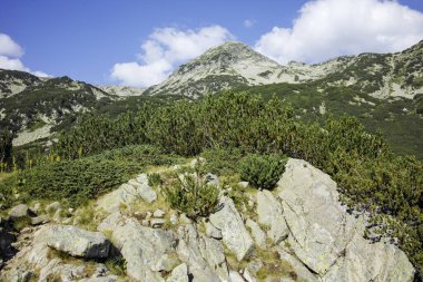 Bulgaristan 'ın Banderitsa Bölgesi yakınlarındaki Pirin Dağı' nın Şaşırtıcı Manzarası