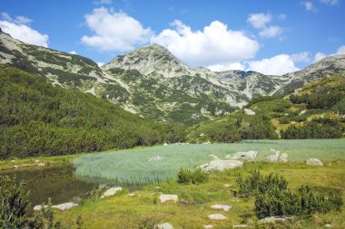 Bulgaristan 'ın Banderitsa Bölgesi yakınlarındaki Pirin Dağı' nın Şaşırtıcı Manzarası