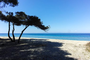 Lagoon Sahili yakınlarındaki Kassandra kıyı şeridi, Chalkidiki, Orta Makedonya, Yunanistan