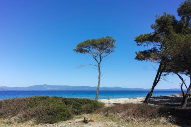Lagoon Sahili yakınlarındaki Kassandra kıyı şeridi, Chalkidiki, Orta Makedonya, Yunanistan