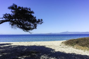 Lagoon Sahili yakınlarındaki Kassandra kıyı şeridi, Chalkidiki, Orta Makedonya, Yunanistan