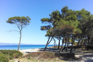 Lagoon Sahili yakınlarındaki Kassandra kıyı şeridi, Chalkidiki, Orta Makedonya, Yunanistan