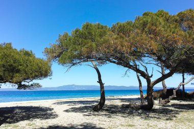 Lagoon Sahili yakınlarındaki Kassandra kıyı şeridi, Chalkidiki, Orta Makedonya, Yunanistan