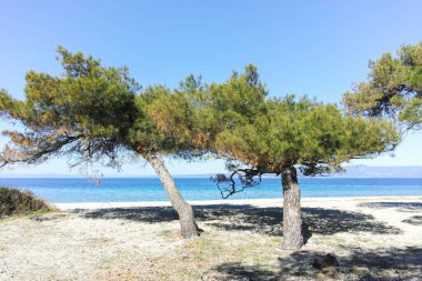 Lagoon Sahili yakınlarındaki Kassandra kıyı şeridi, Chalkidiki, Orta Makedonya, Yunanistan