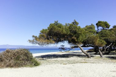 Lagoon Sahili yakınlarındaki Kassandra kıyı şeridi, Chalkidiki, Orta Makedonya, Yunanistan