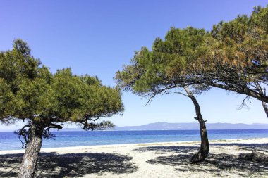 Lagoon Sahili yakınlarındaki Kassandra kıyı şeridi, Chalkidiki, Orta Makedonya, Yunanistan